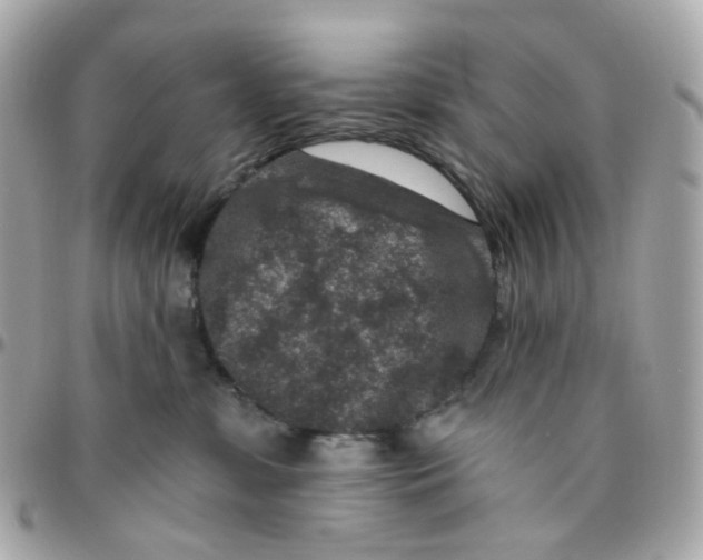 X0000095900331200802011134