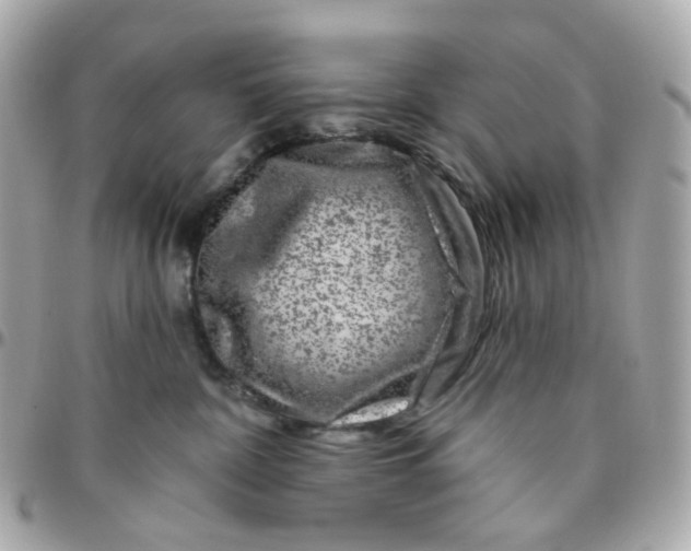 X0000095900332200802011134