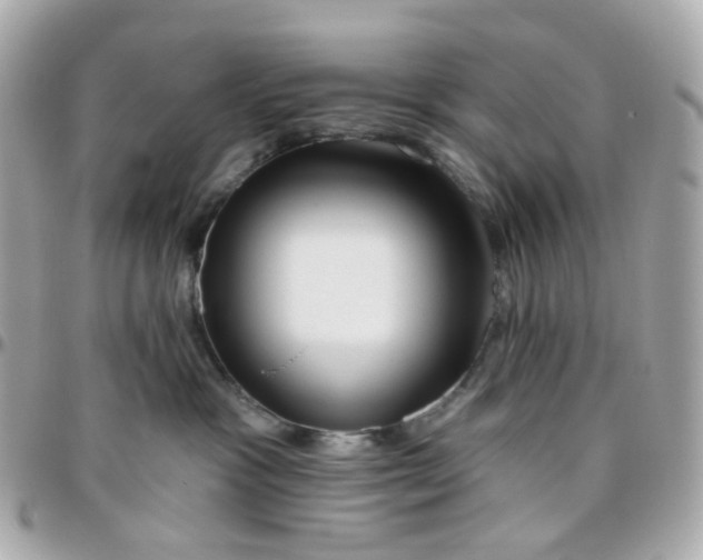 X0000095900333200802011134