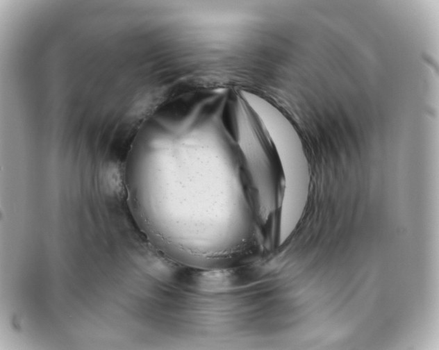 X0000095900335200802011134