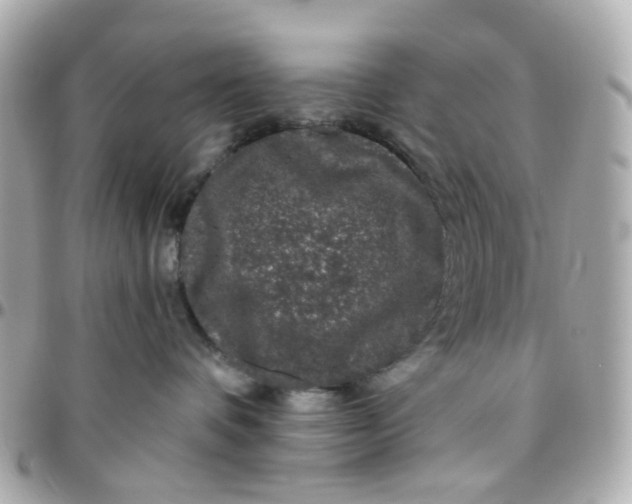 X0000095900336200802011134