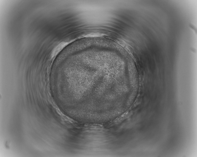 X0000095900337200802011133