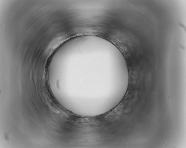 X0000095900338200802011133