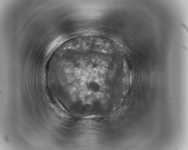 X0000095900339200802011133