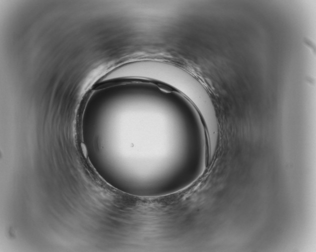 X0000095900340200802011133