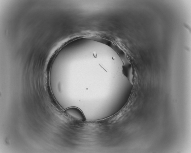 X0000095900342200802011133