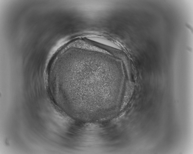 X0000095900343200802011133