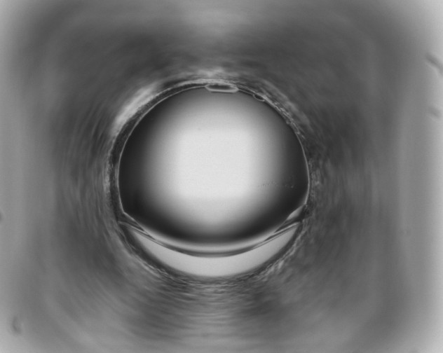 X0000095900344200802011133