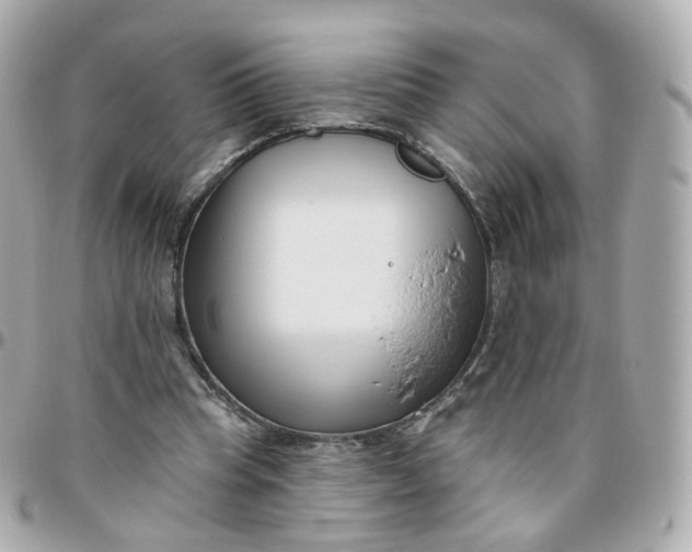 X0000095900345200802011133