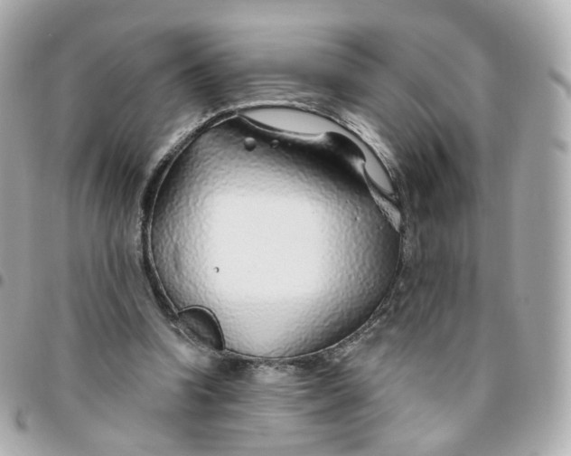 X0000095900346200802011133