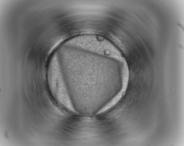 X0000095900347200802011133