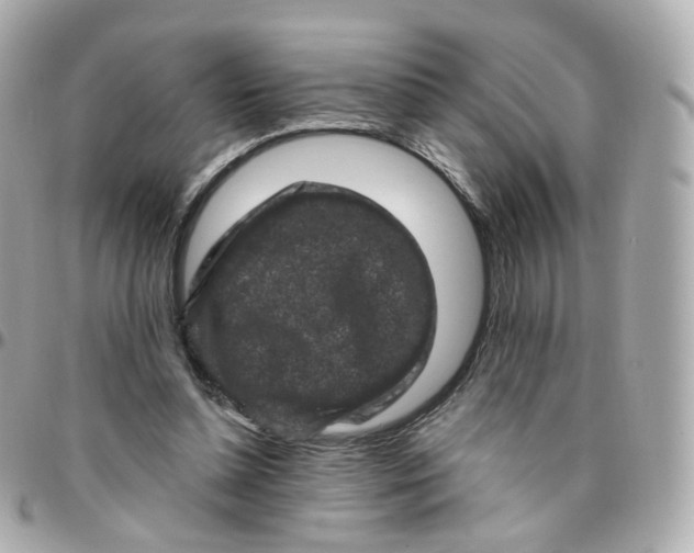 X0000095900348200802011133