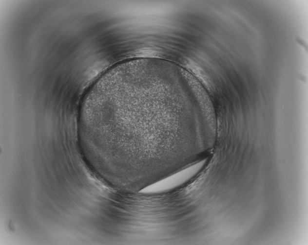 X0000095900349200802011133