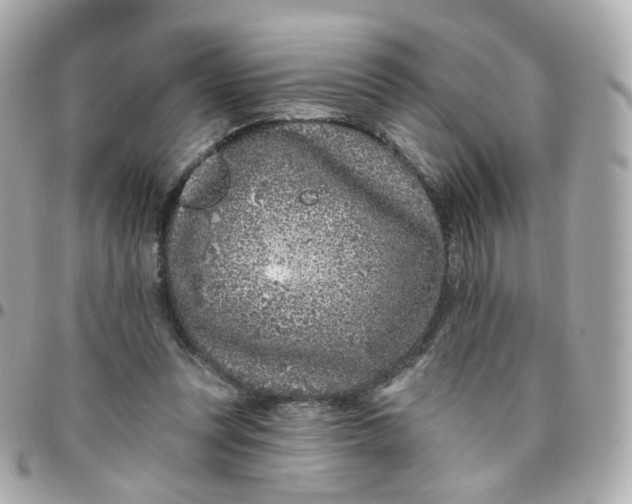 X0000095900351200802011133