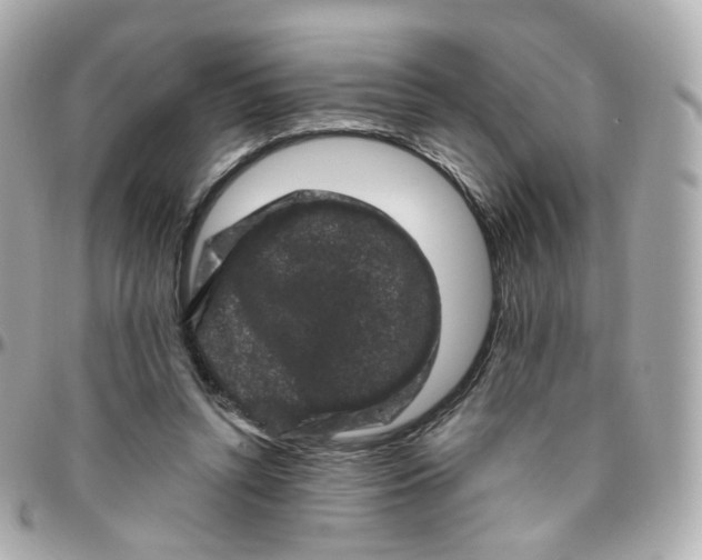 X0000095900352200802011133