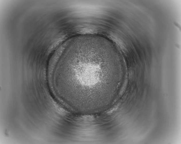 X0000095900353200802011133