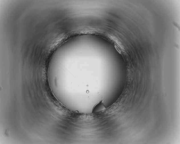 X0000095900354200802011133