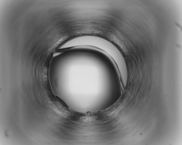 X0000095900356200802011133