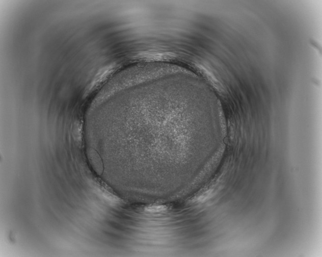 X0000095900357200802011133