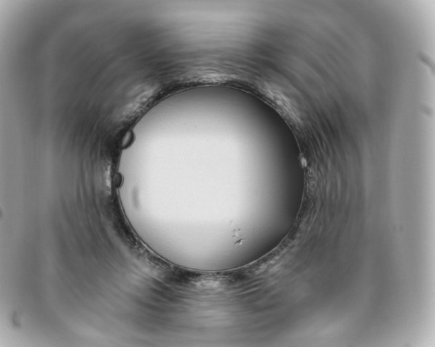 X0000095900358200802011133