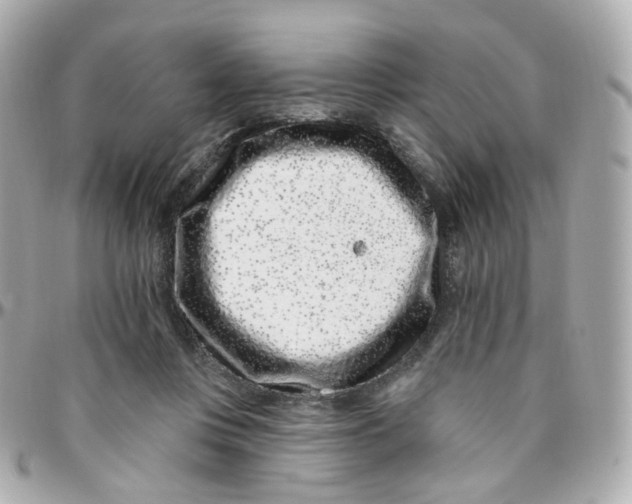 X0000095900359200802011133