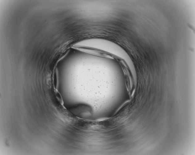 X0000095900360200802011133