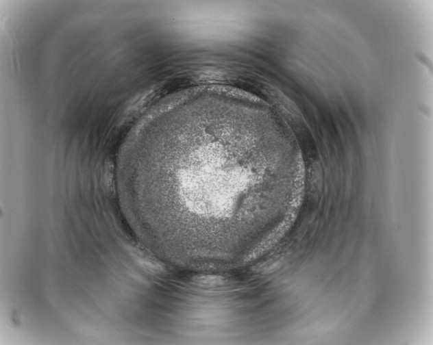 X0000095900361200802011133