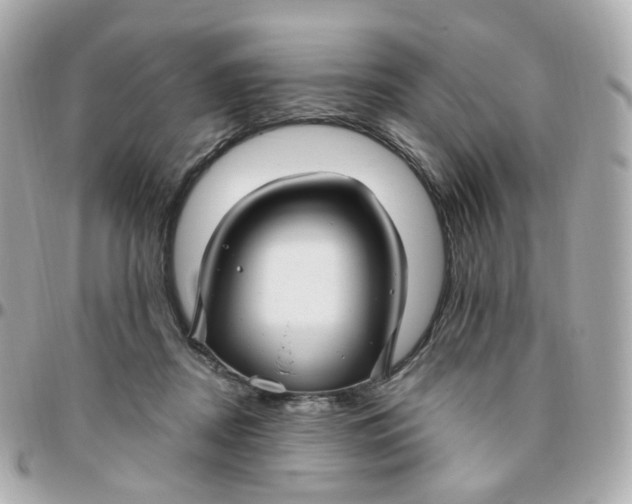 X0000095900362200802011133