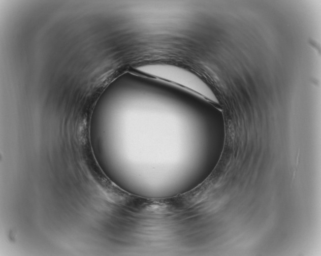 X0000095900364200802011133