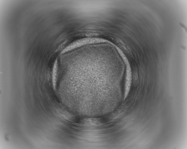 X0000095900367200802011133