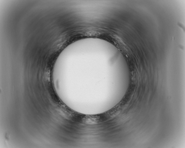 X0000095900368200802011133