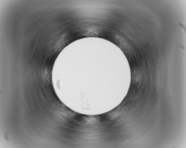 X0000095900370200802011133