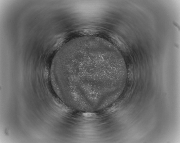 X0000095900371200802011133