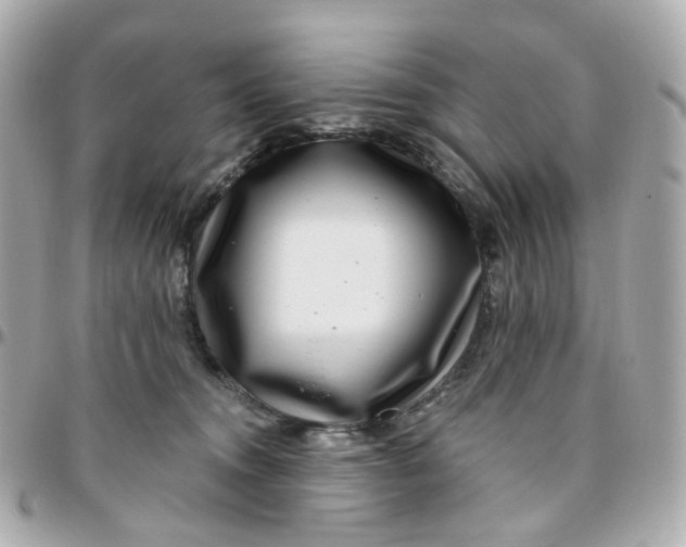 X0000095900372200802011133