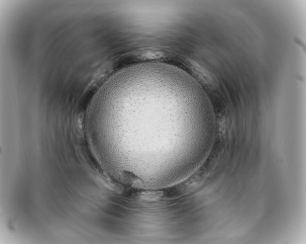 X0000095900373200802011133