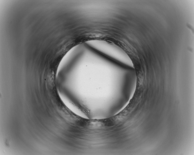 X0000095900376200802011133