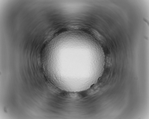 X0000095900377200802011133