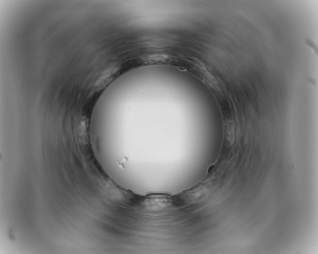 X0000095900378200802011133