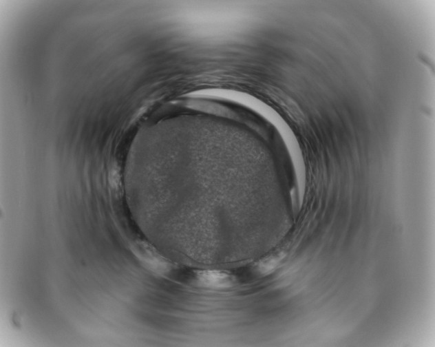 X0000095900380200802011133