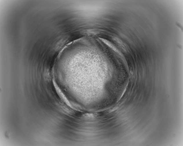 X0000095900381200802011133