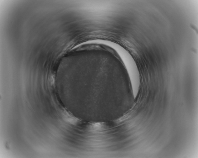 X0000095900382200802011133