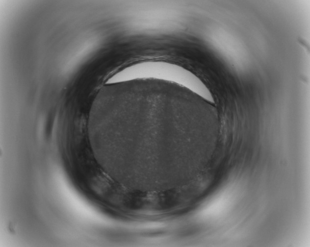 X0000095900383200802011134