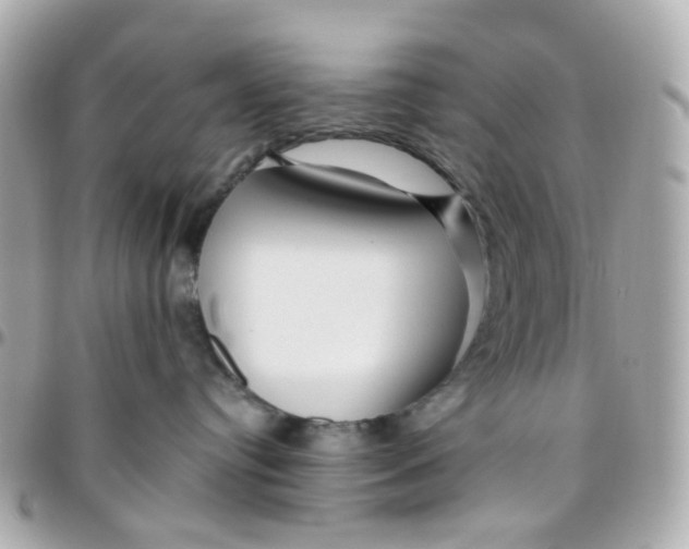 X0000095900384200802011134