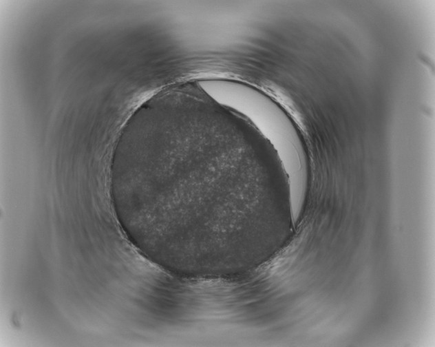 X0000095900385200802011133