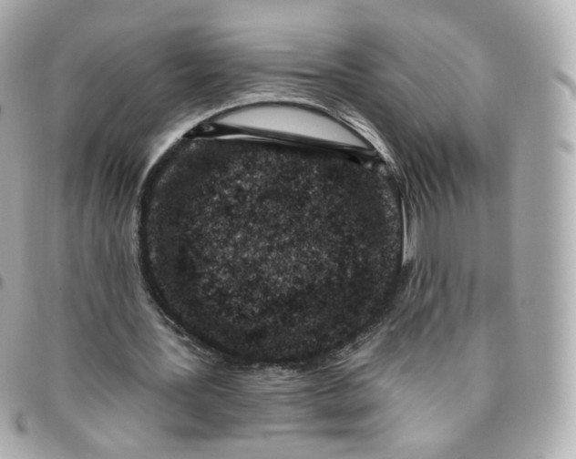 X0000095900387200802011133