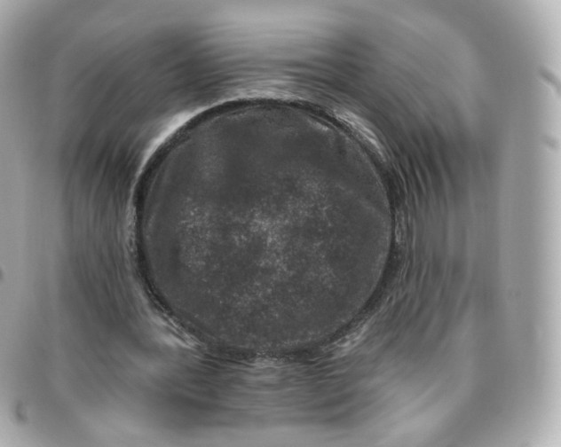 X0000095900388200802011133