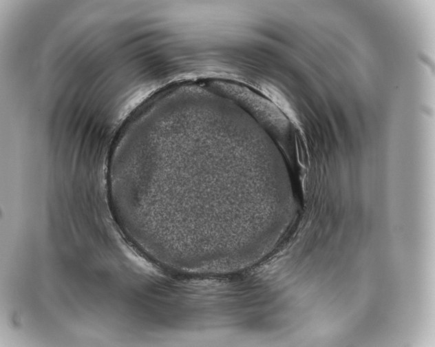 X0000095900389200802011133