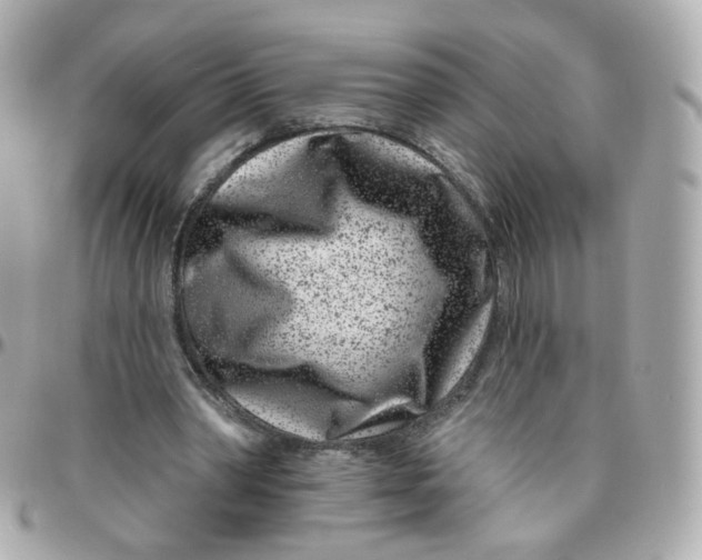 X0000095900390200802011133