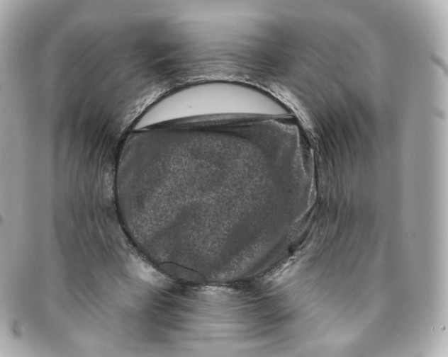 X0000095900393200802011133