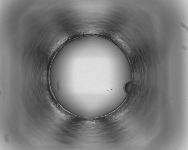 X0000095900394200802011133